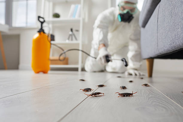 Post-Treatment Bed Bug Interceptor Monitoring in Brookdale