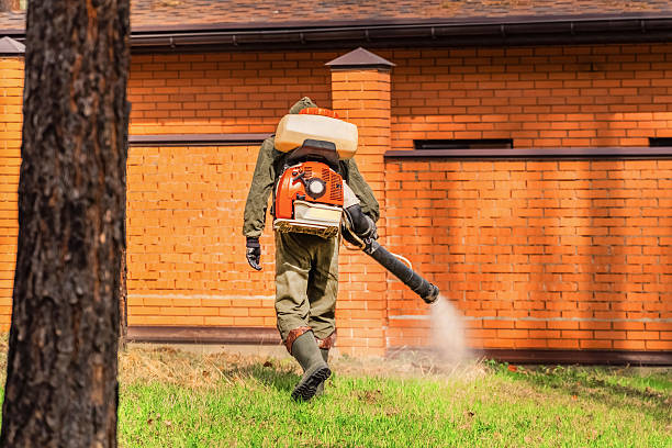 Bed Bug Clearance Verification and Documentation in Brookdale